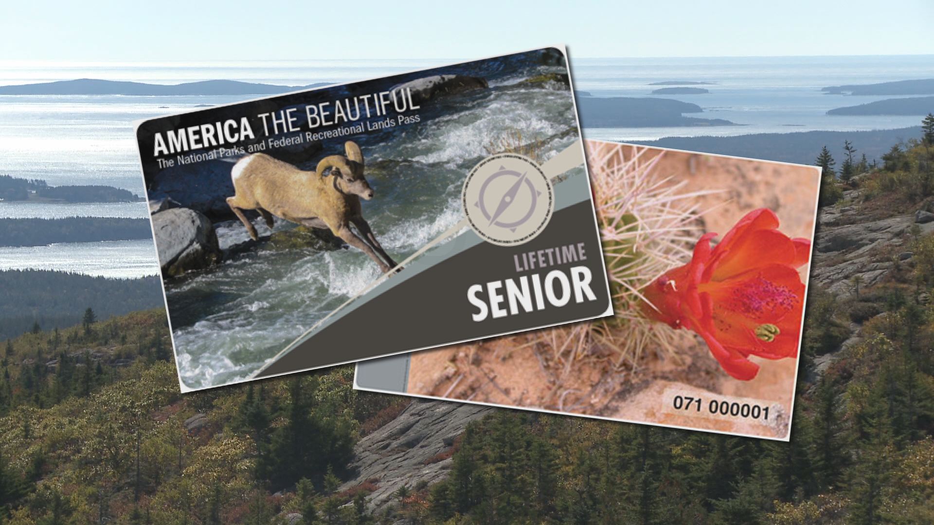 AMERICA THE BEAUTIFUL NATIONAL PARKS SERVICE ANNUAL SENIOR ADMISSION PASS